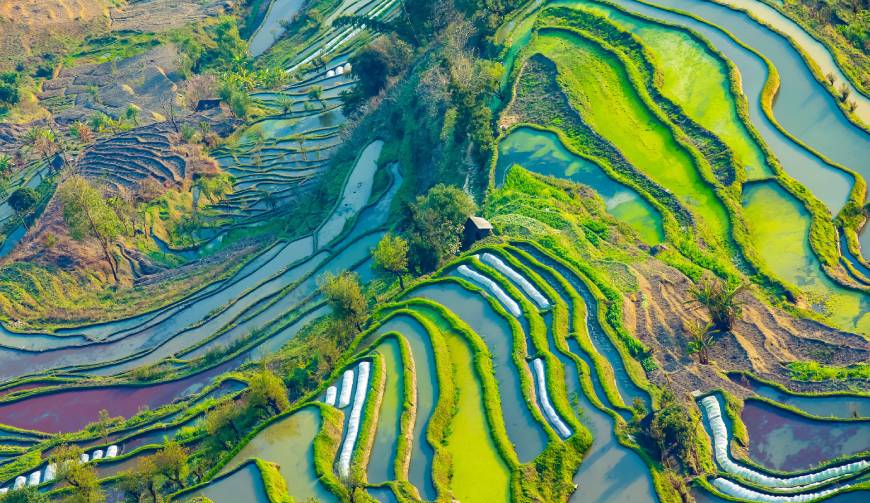 雨城区企业宣传片制作
